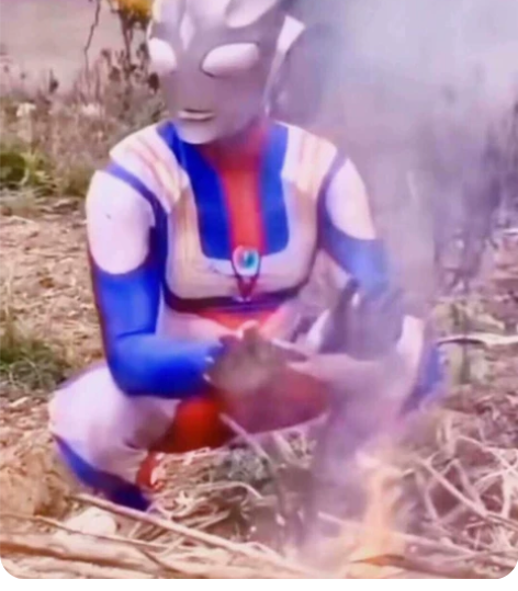 野生奥特曼代抓，代烹饪。 不保证一定能抓到...