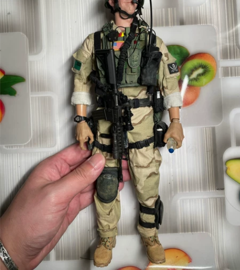 dam 78060 海豹1/6模型玩具 背...