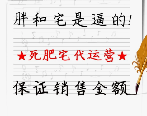 淘宝天猫店铺c店代运营直通车推广详情首页设...