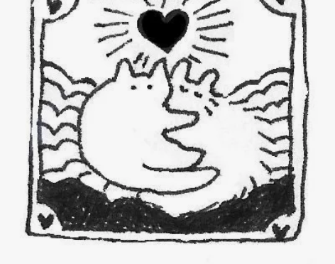 寒假过年开始预约咯!武汉上门喂养猫咪可预约...