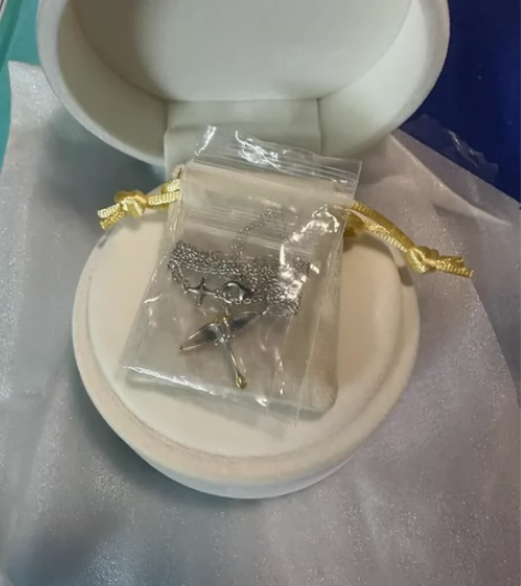 光遇周边遥鲲项链 项链+白绒盒+绒布袋 除...
