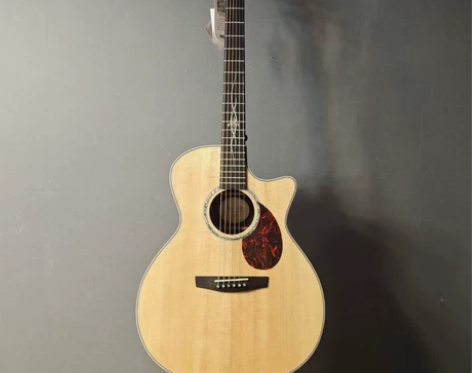 全新正品恩雅Enya Q1pro41寸GA...