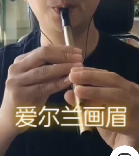 【专业级】爱尔兰哨笛吹笛直竖笛子6孔初学者...