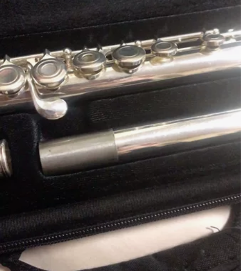 德国ROFFEE 长笛初学考级演奏乐器16...