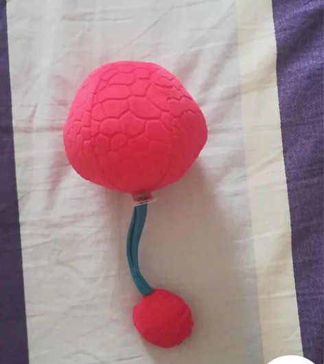 婴儿视力训练红球玩具  适合三个月以内的宝...