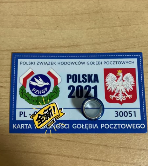 波兰足环2021 保真全新已卖出三枚还有2...