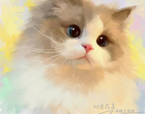 手绘宠物头像q版画肖像卡通漫画画像定制猫猫...