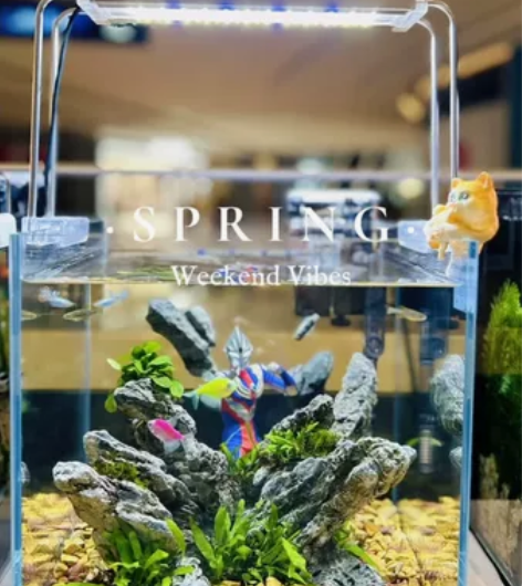 福建私人定制，水族鱼缸。大大小小都有卡通的...