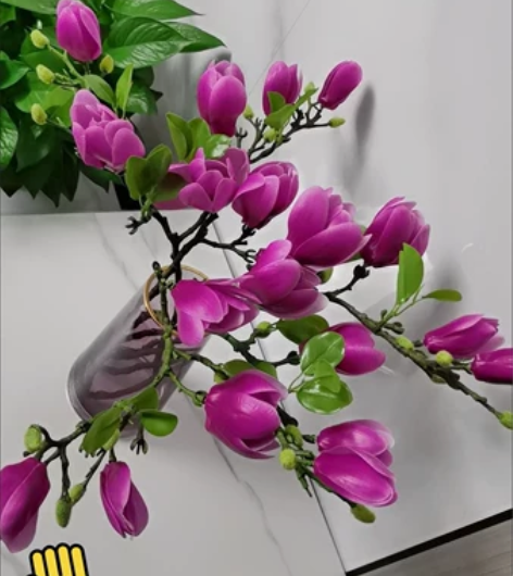 高档逼真 为家里增添一抹色彩 3D玉兰花仿...