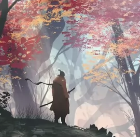 只狼  账h号 一人一号 标价就是售价，需...