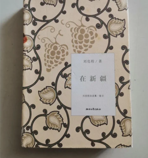 正版二手 在新疆：刘亮程自选集 ·散文 刘...