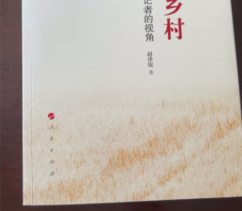 进行中的中国乡村 一位三农记者的视角 正版...