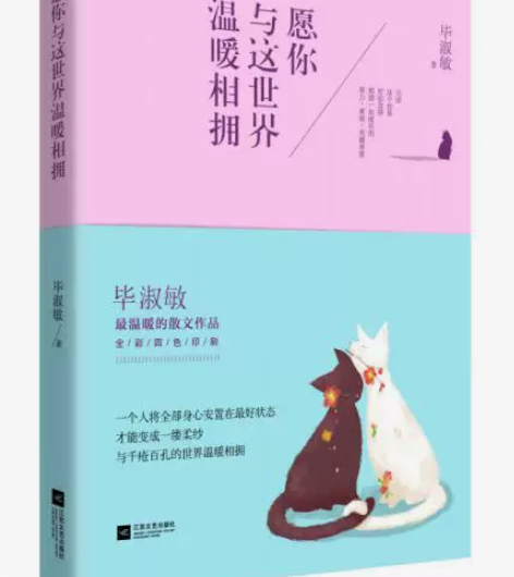 愿你与这世界温暖相拥 江苏文艺出版社 毕淑...