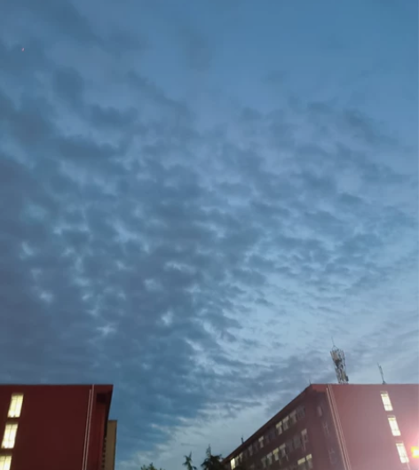 包图网素材代下载 有包图网得永久vip 个...