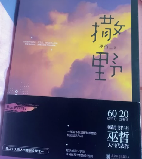 【正版现货】撒野1+2+3完结篇 巫哲撒野...