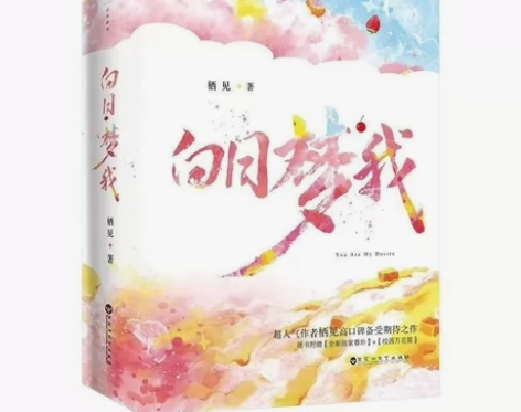白日梦我正品上下册晋江青春都市校园爱情小说...