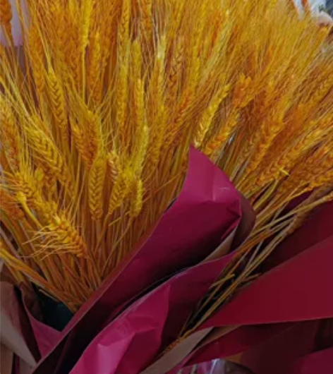 开业大麦花篮便宜出 30一个,共三个 三元...