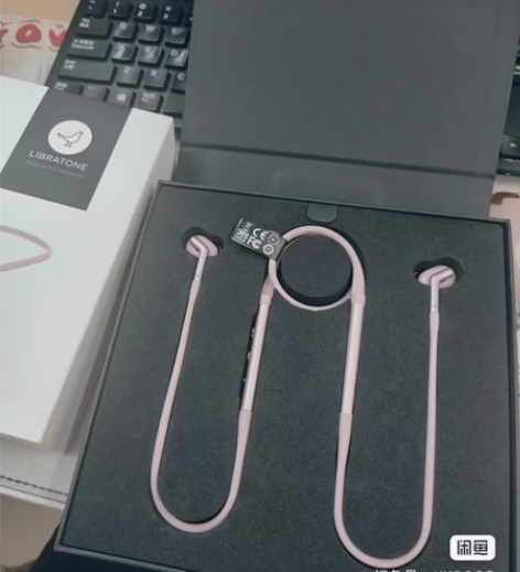 小鸟耳机（Libratone） ，小鸟TR...