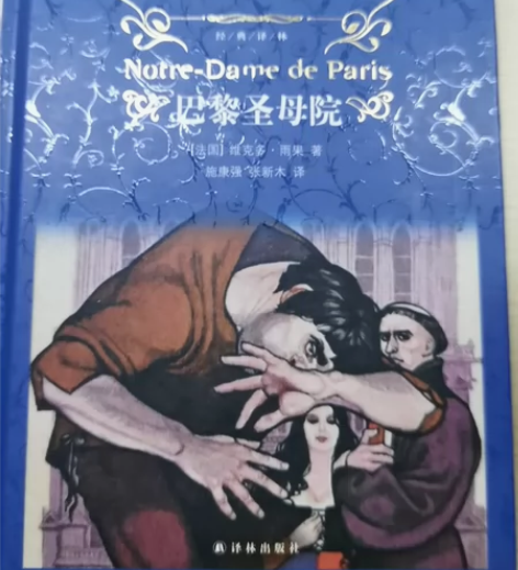 《巴黎圣母院》翻过几页，九九新，邮费可商 ...
