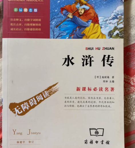 青少年版《水浒传》无障碍阅读，新课标必读名...