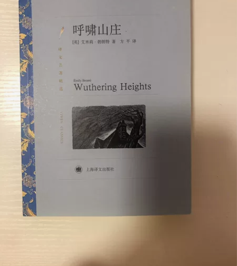 世界名著 呼啸山庄 封面有点脏 深圳可自提...
