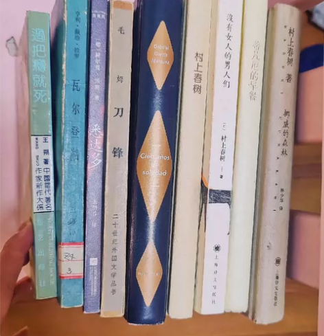 一些书，悉达多，刀锋，挪威的森林，没有女人...