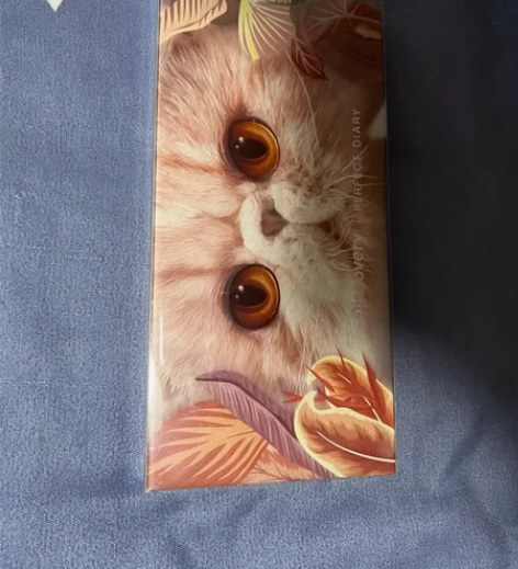 完美日记 眼影 12色 09猫咪 全新的完...