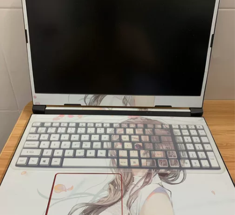 宏基ACER 暗影骑士擎 2020款 第十...