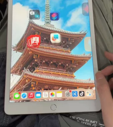 95新国行原内存IPad 2020 10....