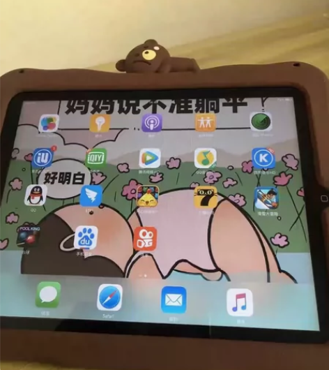 今年 毕业就闲置了 佛系 出自用ipad2...