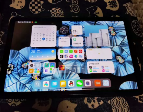 出在保箱说全小米平板5pro 5g 插卡版...