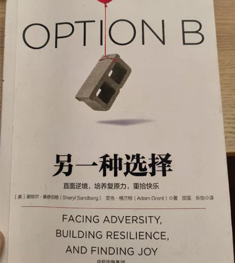 另一种选择 培养复原力 全书无字迹 非偏远...