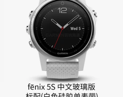 GARMIN佳明fenix5s 中度使用痕...