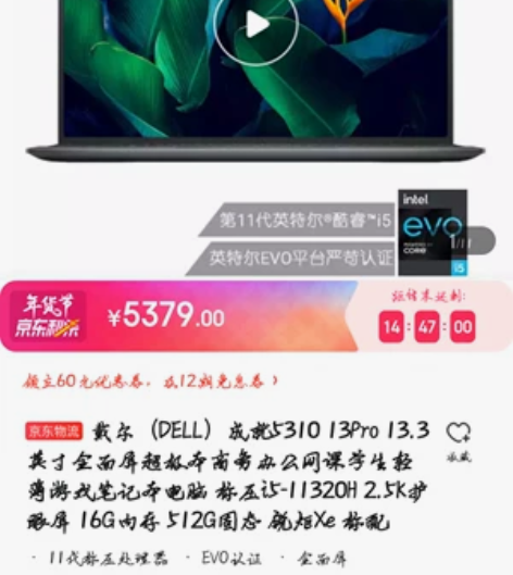 戴尔（DELL)成就5310-13Pro-...