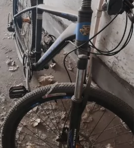 凤凰自行车 山地24寸26寸越野变速碟刹男...