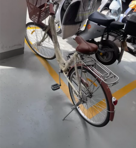 凤凰牌自行车女式成人学生普通代步单车男城市...