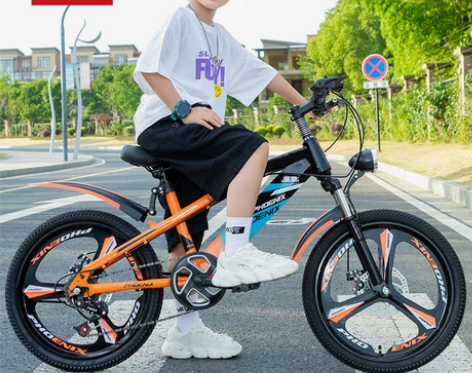 凤凰儿童自行车20寸6-8-15岁男女孩学...