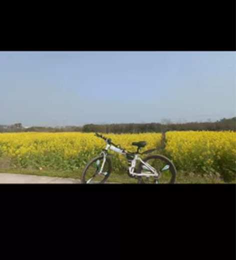 折叠山地自行车男式变速越野单车新型赛车27...