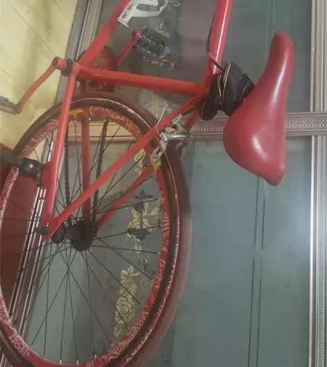 活飞单车 包邮 带锁 自己买的 铁链的防盗...