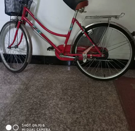 菲利普24型公主自行车 八十年代生产 ...