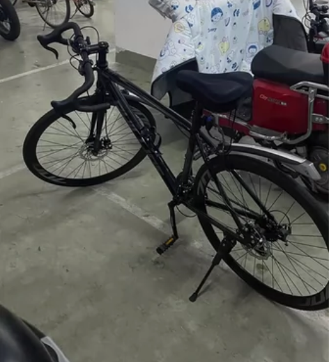 飞利浦山地自行车，骑了一年多，车子正常使用...