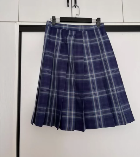 jk制服正版日系格裙校服夏季百褶裙学院风短...