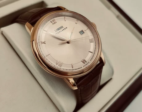 罗宾尼男士机械手表男全自动表带防水 附带原...