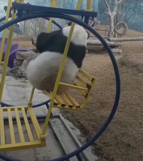 鄂尔多斯海洋馆动物园套票，有需要的联系我，...