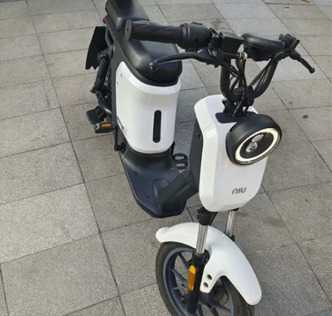 出小牛 感兴趣的话点“我想要”和我私聊吧～...