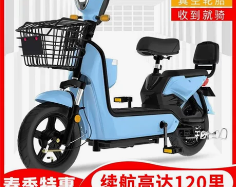 飞鸽电动车，48v20a，仅支持长沙同城自...