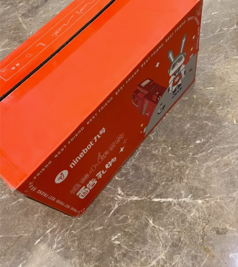 Ninebot 九号平衡车成人L8白色 儿...