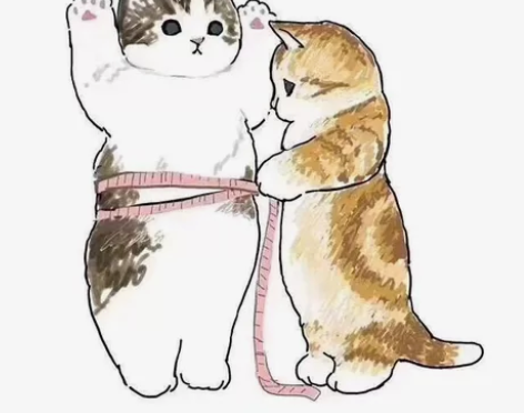 互联网商业模式创新 Hua师大名师 *建p...