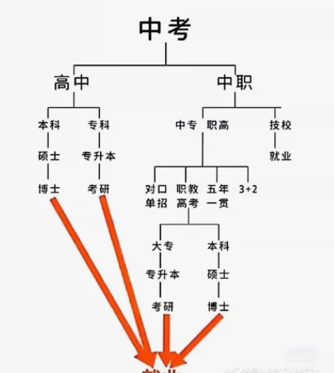 秒回！C语言 C++程序设计，算法设计，数...