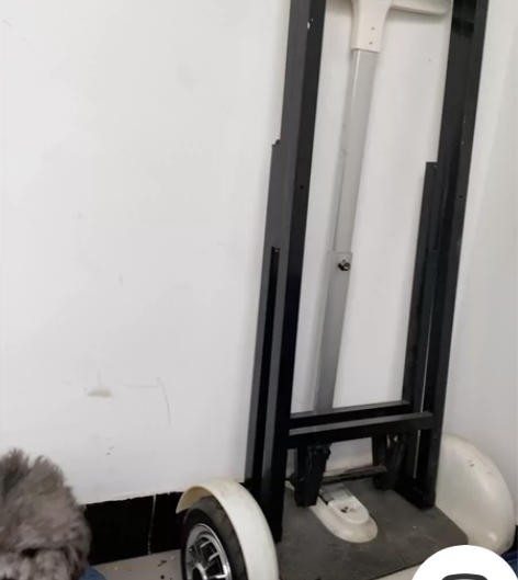 平衡车 功能完好 闲置时间长了 淮北自提 ...